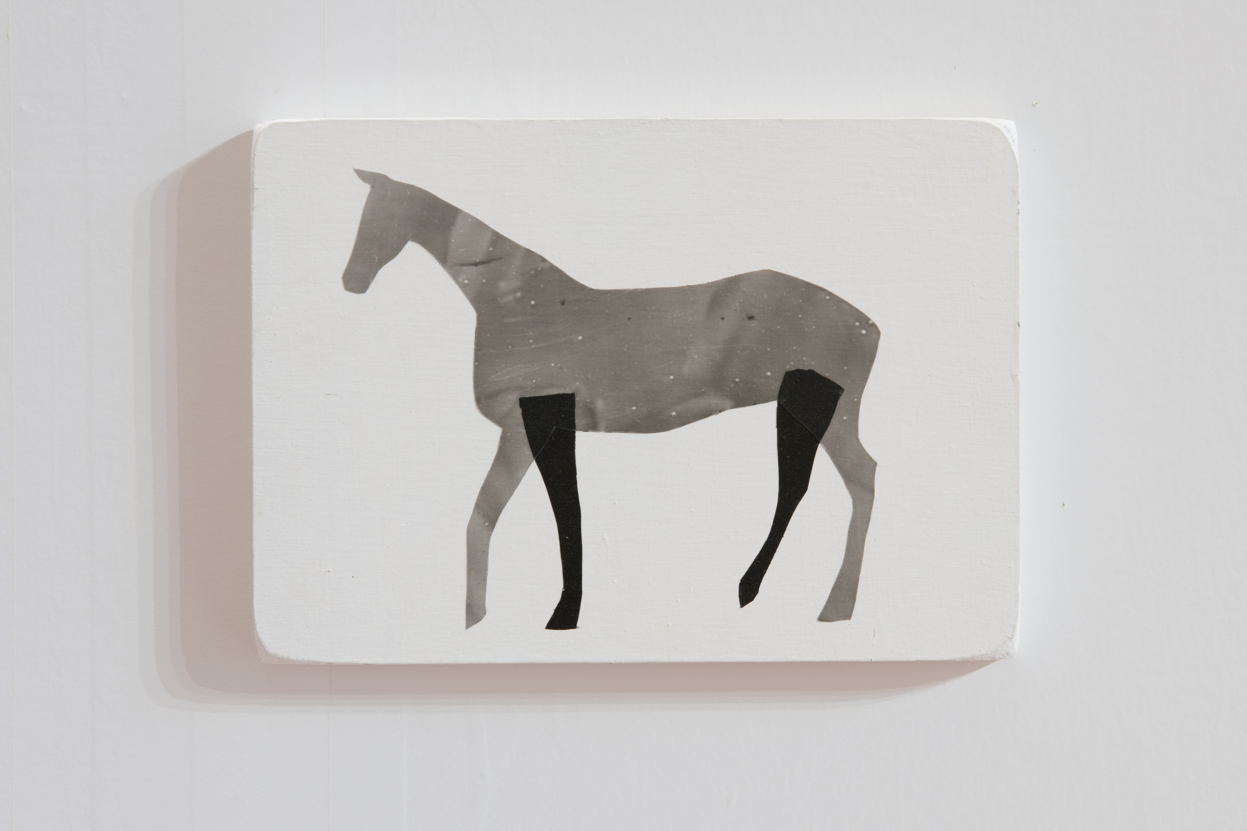 Osaka Directory 12 Supported by RICHARD MILLE WADA Mayuko